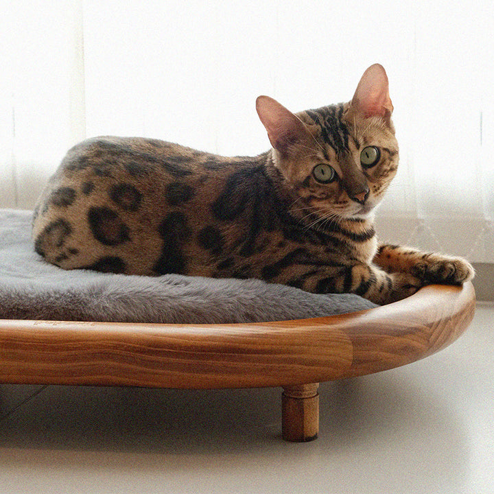 Lit pour chien et chat en cuir effet griffe de chat, bois massif ovale minimaliste moderne et velours, pour chambre à coucher 