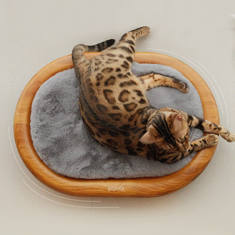 Lit pour chien et chat en cuir effet griffe de chat, bois massif ovale minimaliste moderne et velours, pour chambre à coucher 