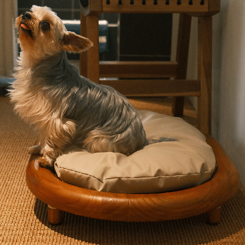 Lit pour chien et chat en cuir effet griffe de chat, bois massif ovale minimaliste moderne et velours, pour chambre à coucher 