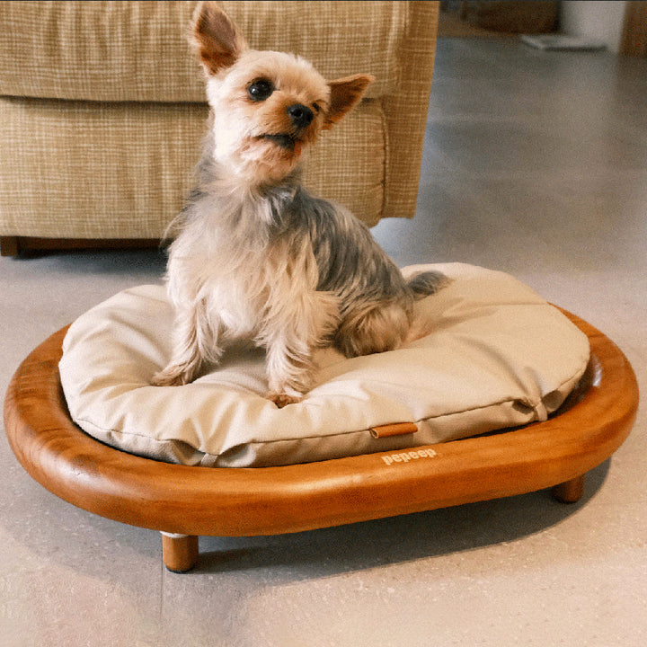 Lit pour chien et chat en cuir effet griffe de chat, bois massif ovale minimaliste moderne et velours, pour chambre à coucher 
