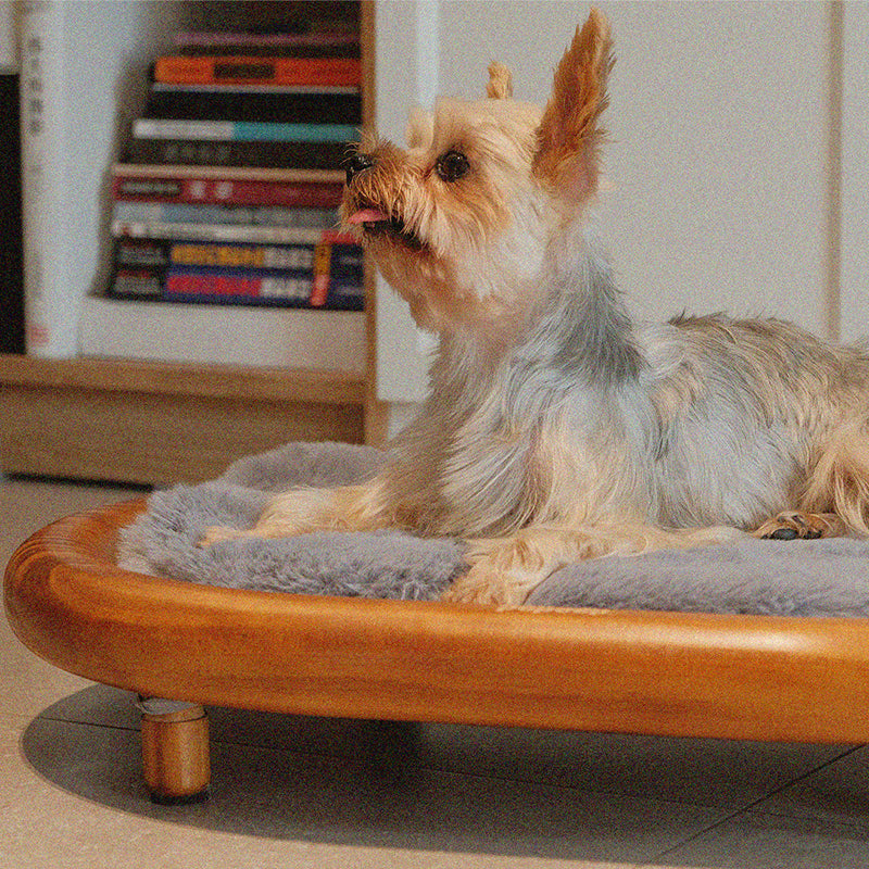 Lit pour chien et chat en cuir effet griffe de chat, bois massif ovale minimaliste moderne et velours, pour chambre à coucher 