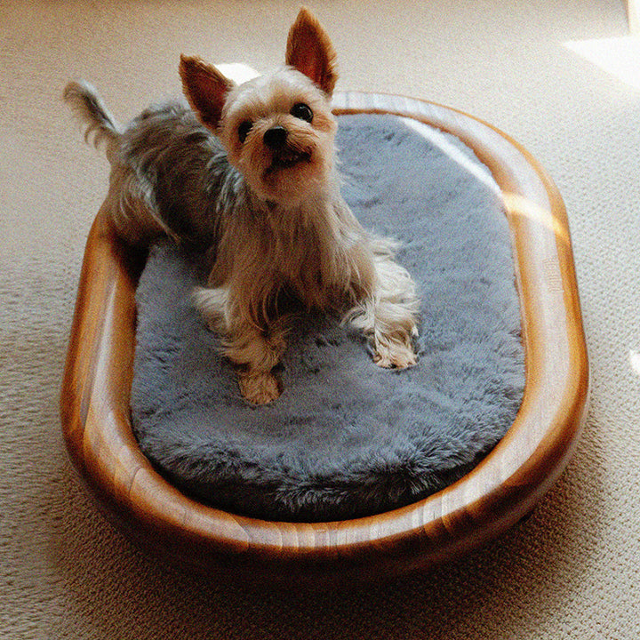 Lit pour chien et chat en cuir effet griffe de chat, bois massif ovale minimaliste moderne et velours, pour chambre à coucher 