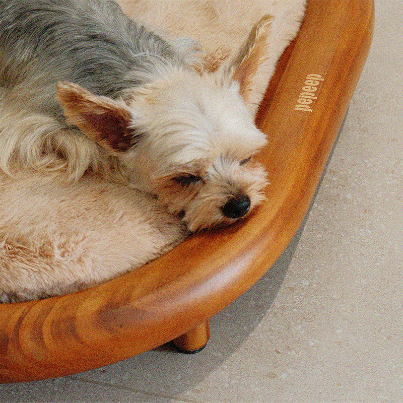 Lit pour chien et chat en cuir effet griffe de chat, bois massif ovale minimaliste moderne et velours, pour chambre à coucher 