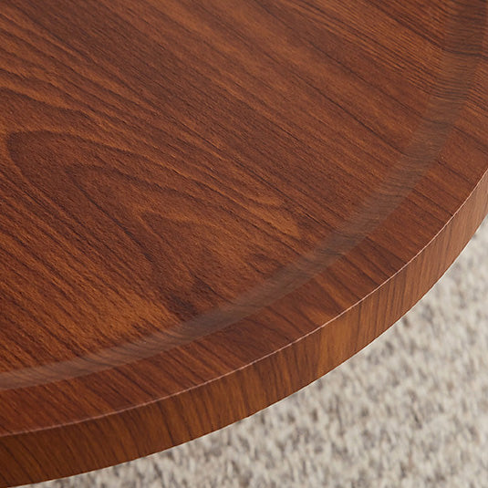 Table basse ovale contemporaine en acier inoxydable nordique et bois massif avec 2 niveaux et mobilité pour le salon 