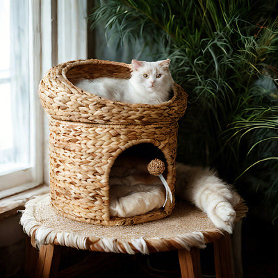Contemporary Creative Round Fabric Rattan Raffia Grass Cat Bed 2-Tier For Bedroom