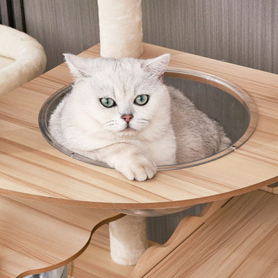 Contemporary Scandinavian Rectangular Medium-Density Fiberboard Acrylic Multi-Functional Cat Tree For Living Room