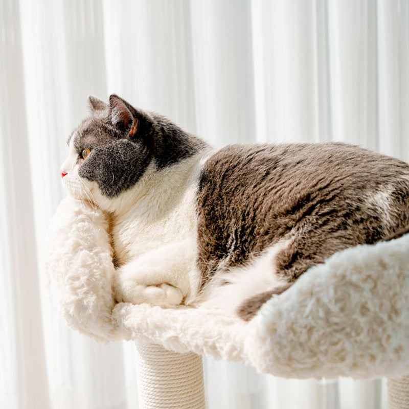 Contemporary Scandinavian Round Medium-Density Fiberboard Velvet Fabric Sisal Multi-Functional Cat Tree For Living Room