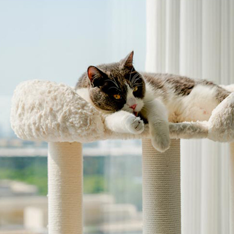 Contemporary Scandinavian Round Medium-Density Fiberboard Velvet Fabric Sisal Multi-Functional Cat Tree For Living Room