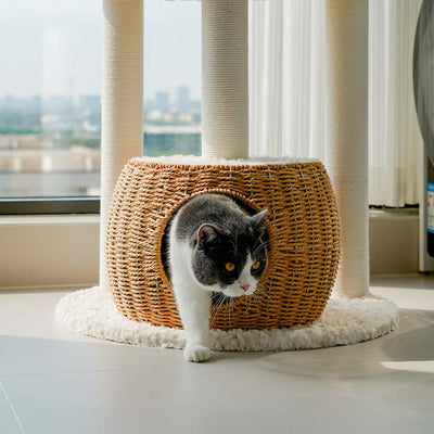 Contemporary Scandinavian Round Medium-Density Fiberboard Velvet Fabric Sisal Multi-Functional Cat Tree For Living Room