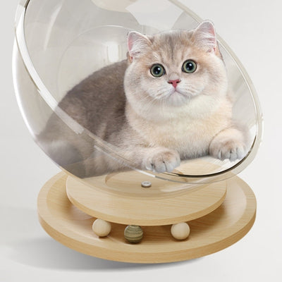 Contemporary Creative Round Pine Wood Board Acrylic Cat Bed For Bedroom