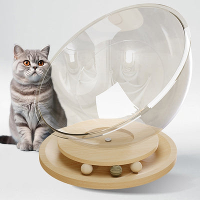 Contemporary Creative Round Pine Wood Board Acrylic Cat Bed For Bedroom