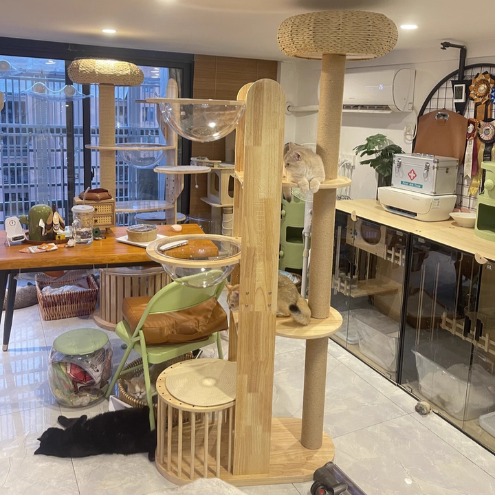 Moderner kreativer multifunktionaler Katzenbaum aus zylindrischem Kautschukholz, Acryl und Sisal für das Wohnzimmer 