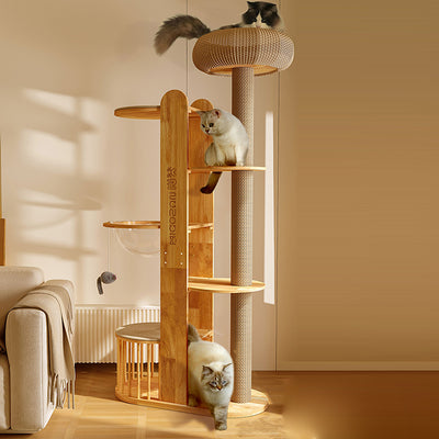 Contemporary Creative Cylindrical Rubberwood Solid Wood Acrylic Sisal Multi-Functional Cat Tree For Living Room