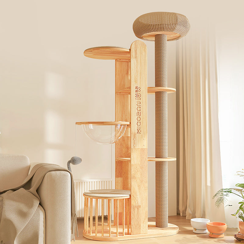 Contemporary Creative Cylindrical Rubberwood Solid Wood Acrylic Sisal Multi-Functional Cat Tree For Living Room