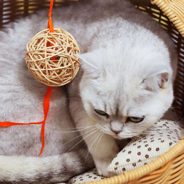 Lit pour chat semi-fermé en rotin PP, tissu ovale, acier, style chinois traditionnel, pour chambre à coucher 