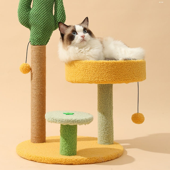 Árbol para gatos contemporáneo y creativo en forma de cactus redondo de plástico y tela de terciopelo de sisal para dormitorio 