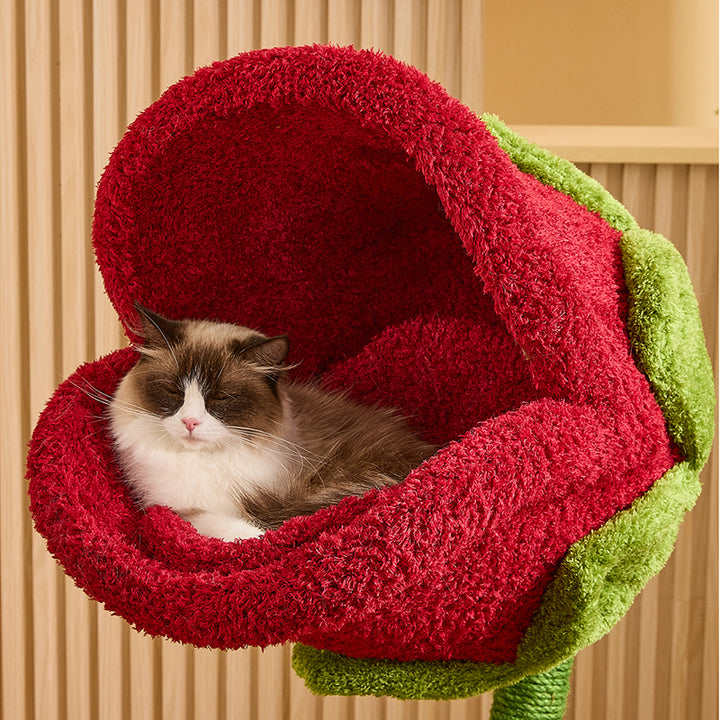 現代的なクリエイティブラウンド中密度ファイバーボードシサルベルベット生地の花柄キャットツリー2段リビングルーム用 
