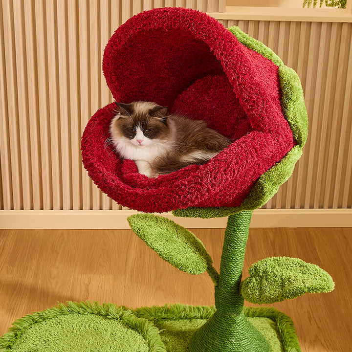 現代的なクリエイティブラウンド中密度ファイバーボードシサルベルベット生地の花柄キャットツリー2段リビングルーム用 