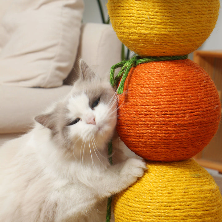 Arbre à chat contemporain créatif rond en tissu velours sisal avec panneau factice en forme d&