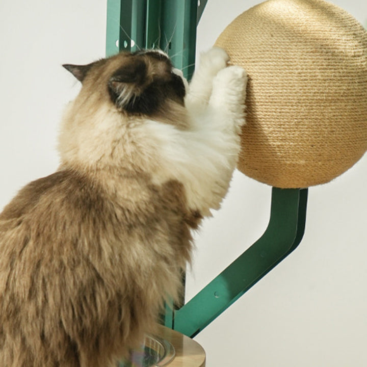 Arbre à chat en forme de cactus pour salon, contemporain, créatif, rond, en bois d’hévéa massif, acier au carbone, sisal, corde en papier kraft 