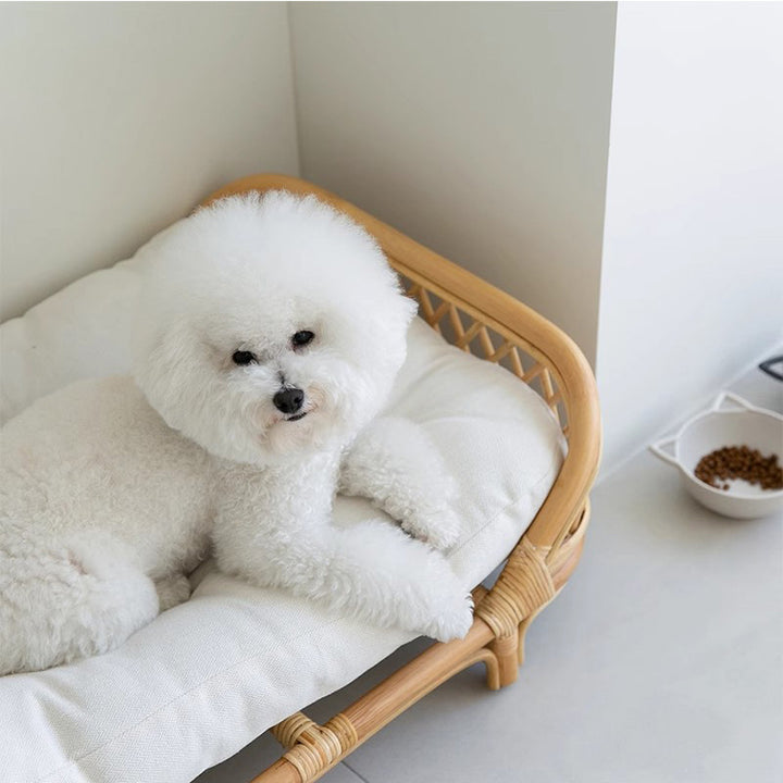 Lit rectangulaire traditionnel de ferme en rotin indonésien tissé à la main avec tissu pour chat, pour chambre à coucher 
