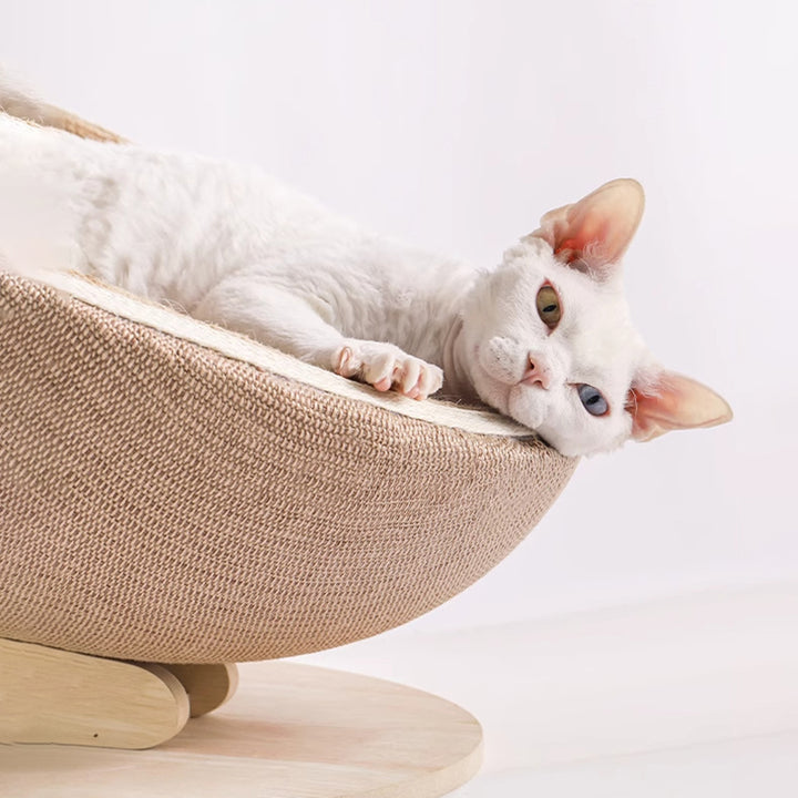 Cama para gato de fibra de densidad media redonda escandinava contemporánea de sisal para dormitorio 