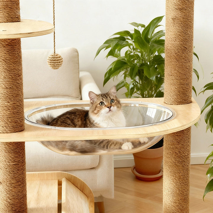Arbre à chat contemporain scandinave rectangulaire à plusieurs niveaux en panneau de bois massif, corde de jute et acrylique, 5 niveaux pour salon 