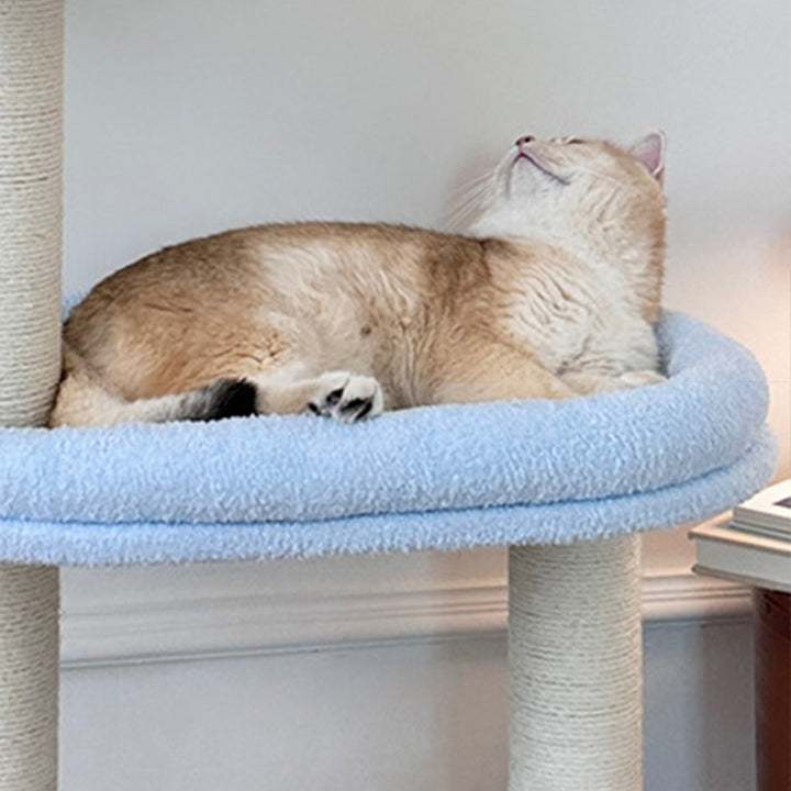 Árbol para gatos de fibra de densidad media contemporáneo y creativo de terciopelo y sisal de 3 niveles para la sala de estar 