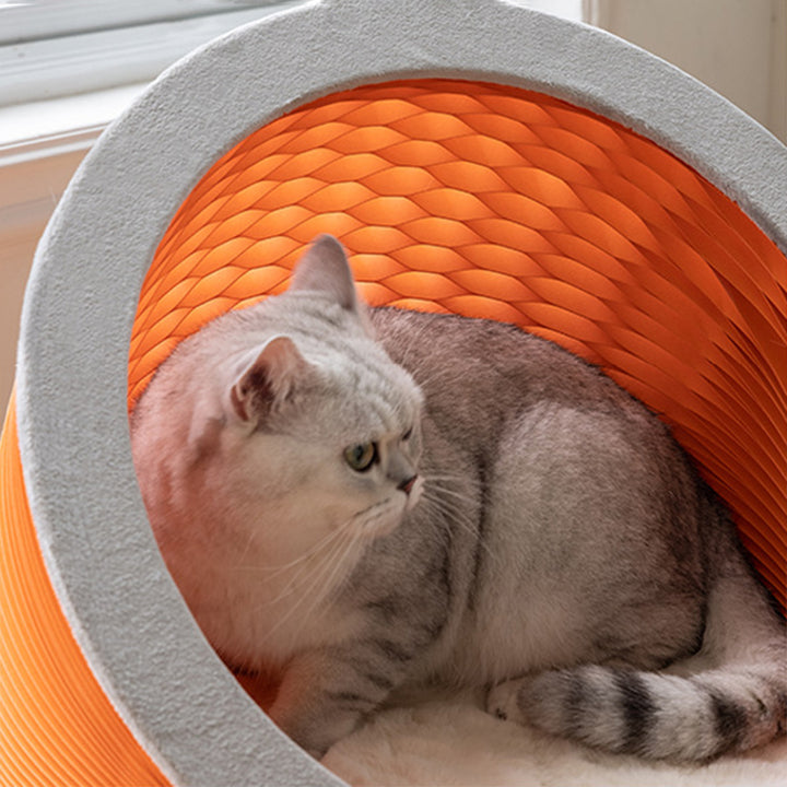 Lit pour chat pliable en tissu velours, panneau OSB et papier kraft rond Art déco moderne pour chambre à coucher 