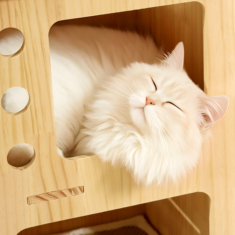 Arbre à chat contemporain scandinave rectangulaire en bois de pin, tissu velours et corde en coton, 4 niveaux pour salon 
