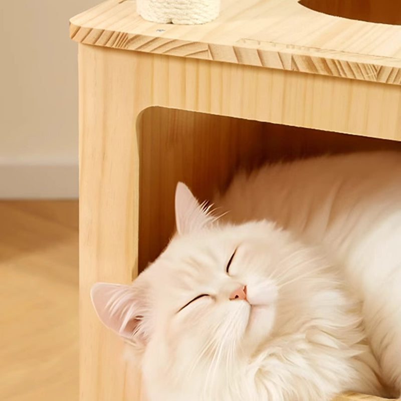 Arbre à chat contemporain scandinave rectangulaire en bois de pin, tissu velours et corde en coton, 4 niveaux pour salon 