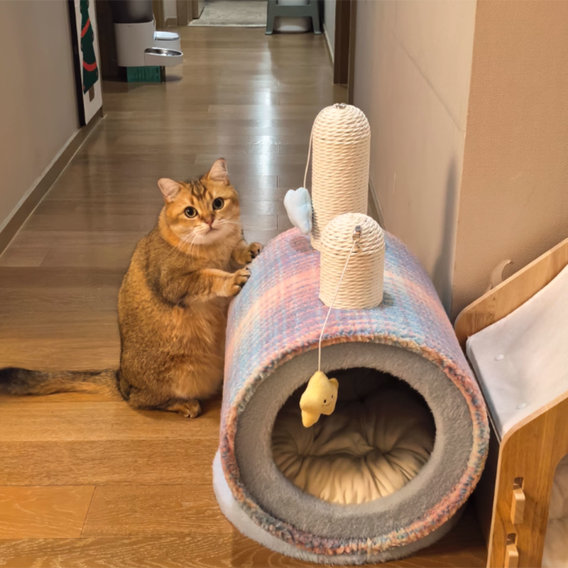Zeitgenössisches kreatives rundes Spanplatten-Samtstoff-Papierseil-Papierrohr-Katzenbett für Schlafzimmer 