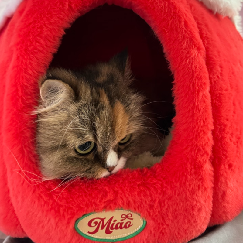 Cama para gatos contemporánea y creativa de tela de terciopelo redondo con esponja semi-cerrada para dormitorio 
