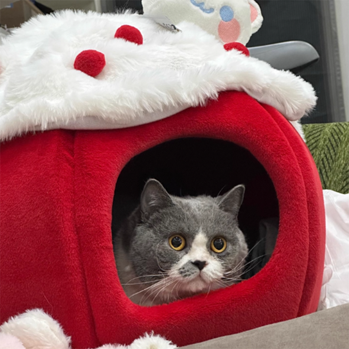 Cama para gatos contemporánea y creativa de tela de terciopelo redondo con esponja semi-cerrada para dormitorio 