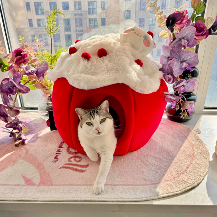 Cama para gatos contemporánea y creativa de tela de terciopelo redondo con esponja semi-cerrada para dormitorio 