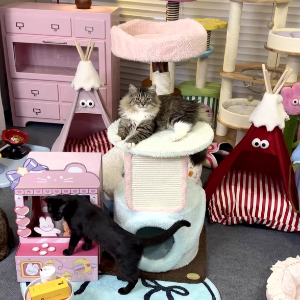 Arbre à chat contemporain et créatif en panneaux de particules ronds, bois fruitier naturel, tissu velours et sisal pour salon 
