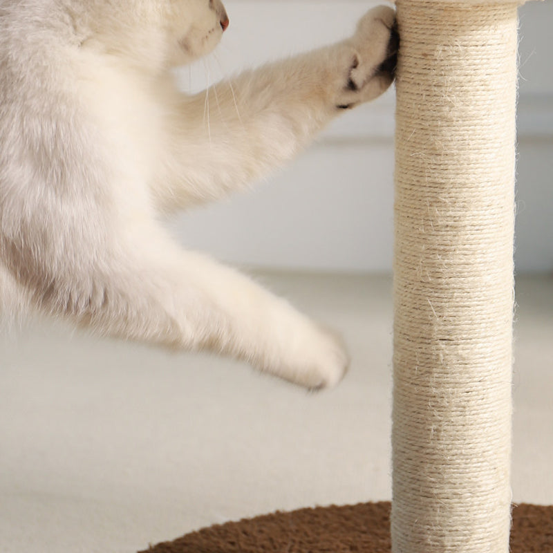 Árbol para gatos en forma de hongo de fibra de densidad media redonda creativa contemporánea con tela de terciopelo y espuma de sisal para la sala de estar 