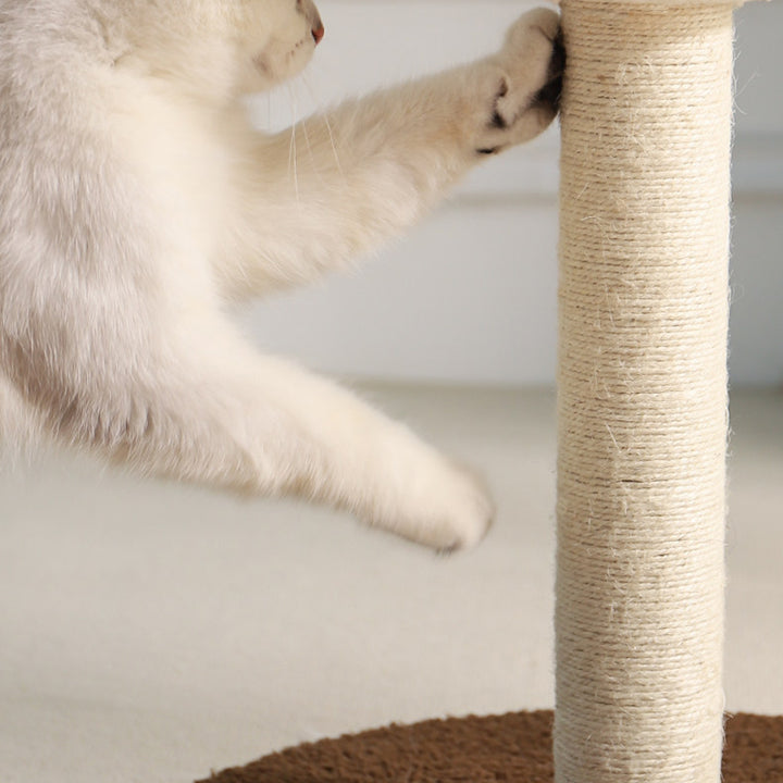 Árbol para gatos en forma de hongo de fibra de densidad media redonda creativa contemporánea con tela de terciopelo y espuma de sisal para la sala de estar 