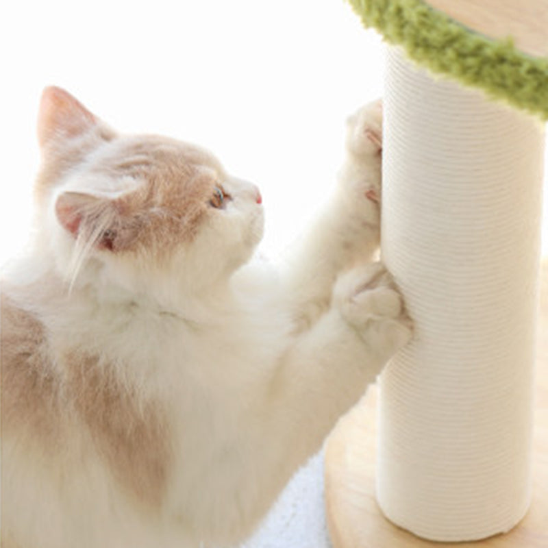 Arbre à chat contemporain créatif à 5 niveaux en bois d&