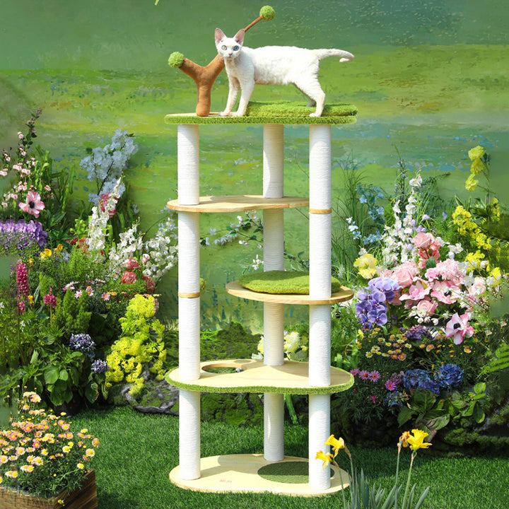 Arbre à chat contemporain créatif à 5 niveaux en bois d&
