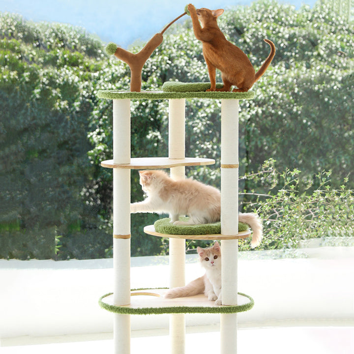 Arbre à chat contemporain créatif à 5 niveaux en bois d&