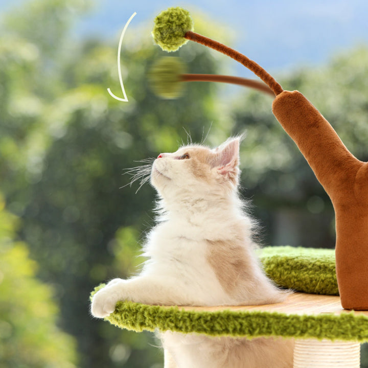 Arbre à chat contemporain créatif à 5 niveaux en bois d&