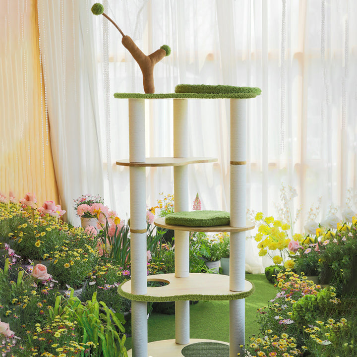 Arbre à chat contemporain créatif à 5 niveaux en bois d&