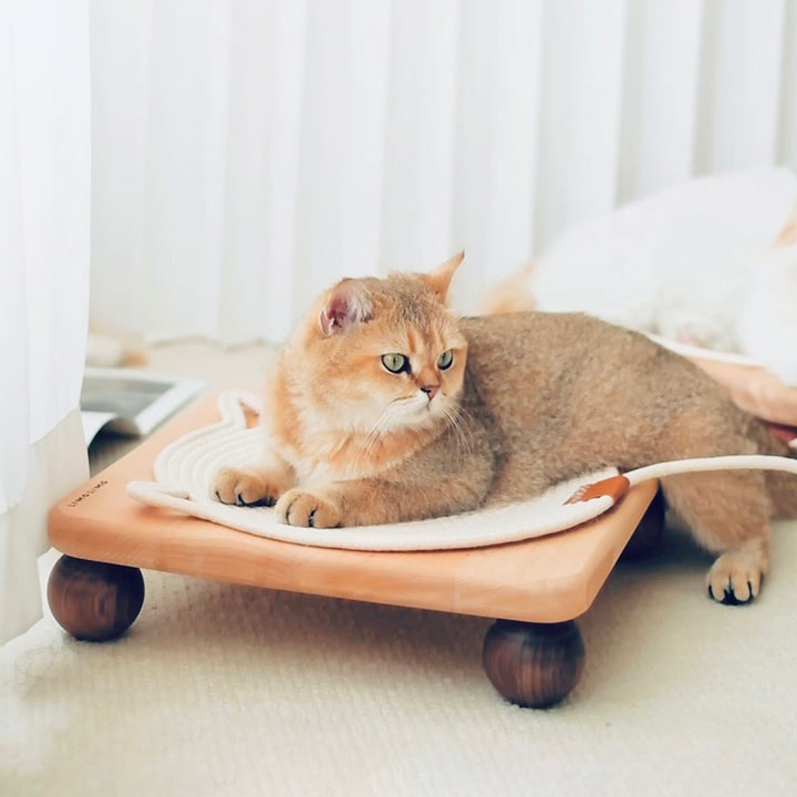 Traditional Vintage Square Rubberwood &amp; Red Chinese Cedar Beech &amp; Black Walnut Cat Bed For Bedroom