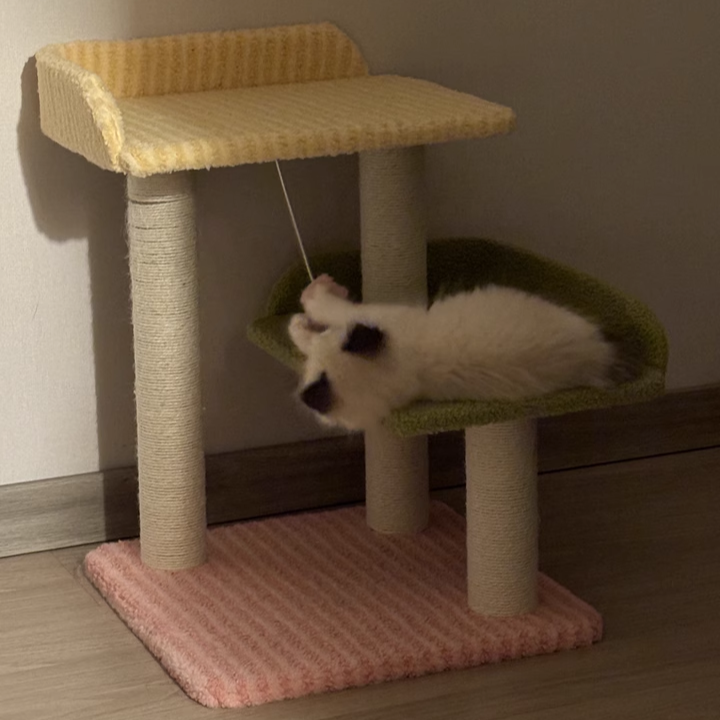 Zeitgenössischer kreativer quadratischer MDF-Polyesterfaser-Hanfseil-Kratzbaum 3-stufig für das Wohnzimmer 