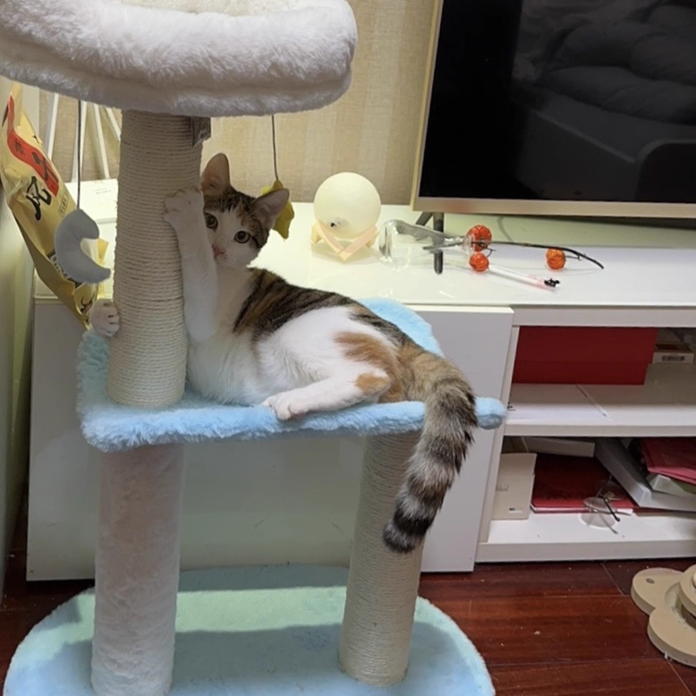 Árbol para gatos contemporáneo creativo redondo de aglomerado de partículas con tela de terciopelo y sisal nube de 2/3 niveles para sala de estar 