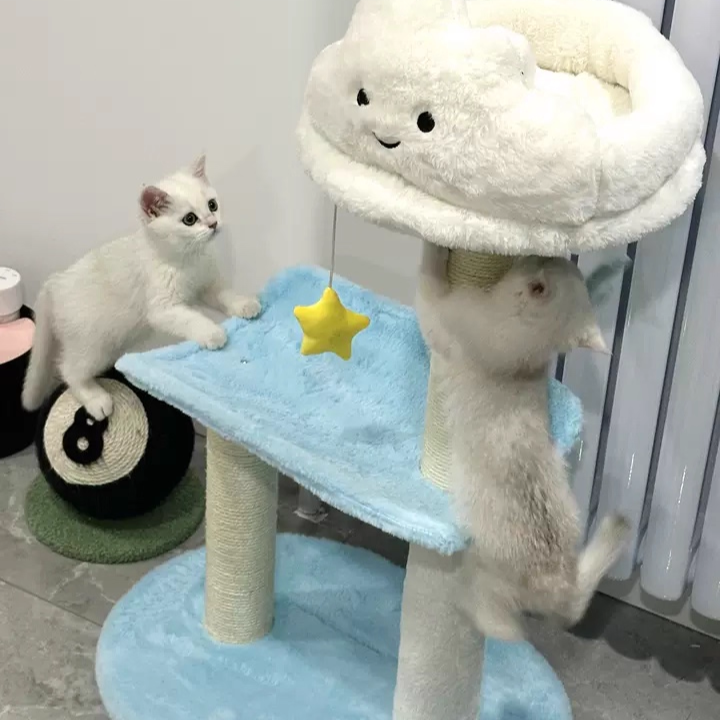 Árbol para gatos contemporáneo creativo redondo de aglomerado de partículas con tela de terciopelo y sisal nube de 2/3 niveles para sala de estar 