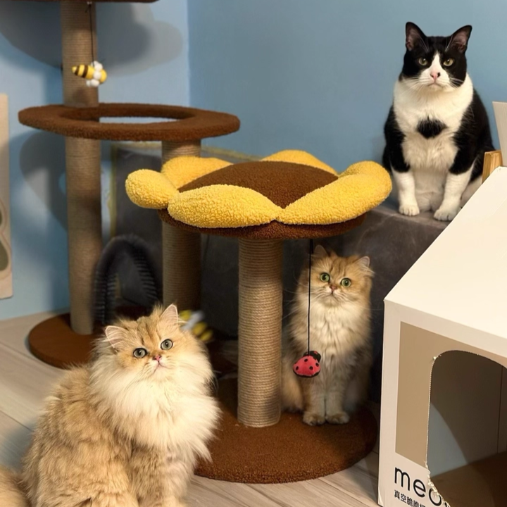 Árbol para gatos contemporáneo creativo redondo de aglomerado con tela de terciopelo y sisal en forma de girasol de 2/3 niveles para sala de estar 