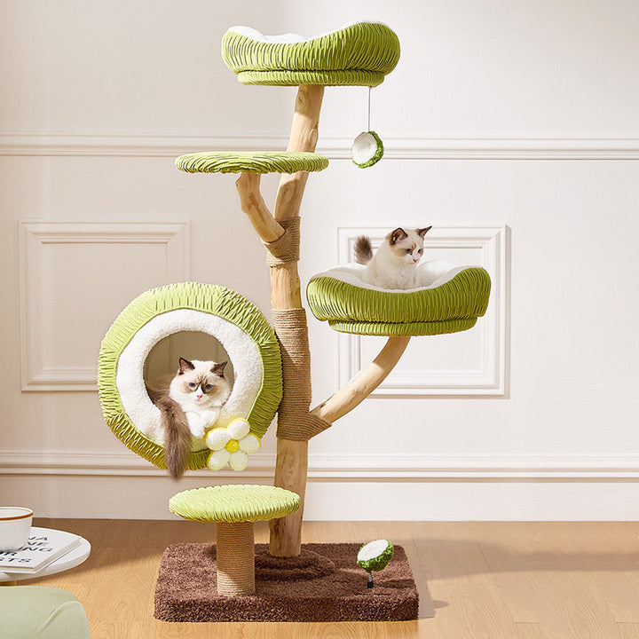 Árbol para gatos contemporáneo y creativo de 5 niveles hecho de tablero de partículas de madera de fruta natural, tela de terciopelo, sisal y coco para sala de estar 