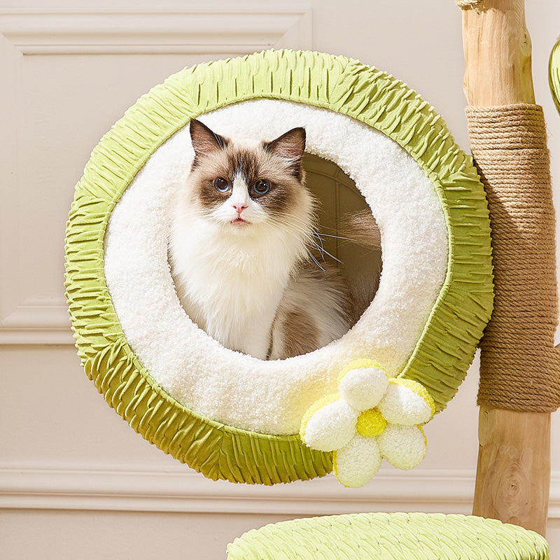 Árbol para gatos contemporáneo y creativo de 5 niveles hecho de tablero de partículas de madera de fruta natural, tela de terciopelo, sisal y coco para sala de estar 